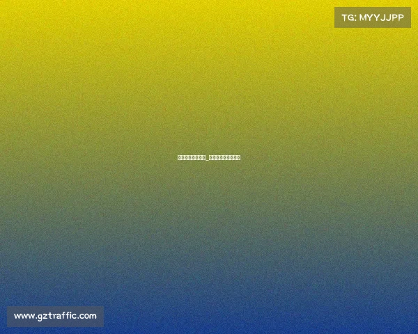 赛事赛场保障方案_赛事保障组是干嘛的